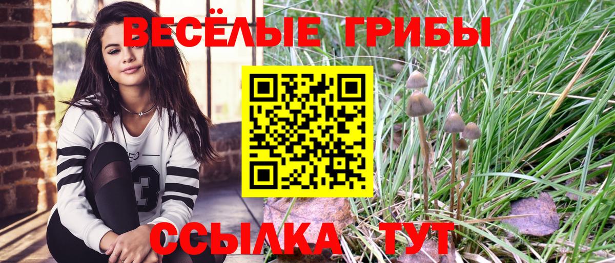 Каменка  Галлюциногенные грибы Cubensis  Вход с VPN 