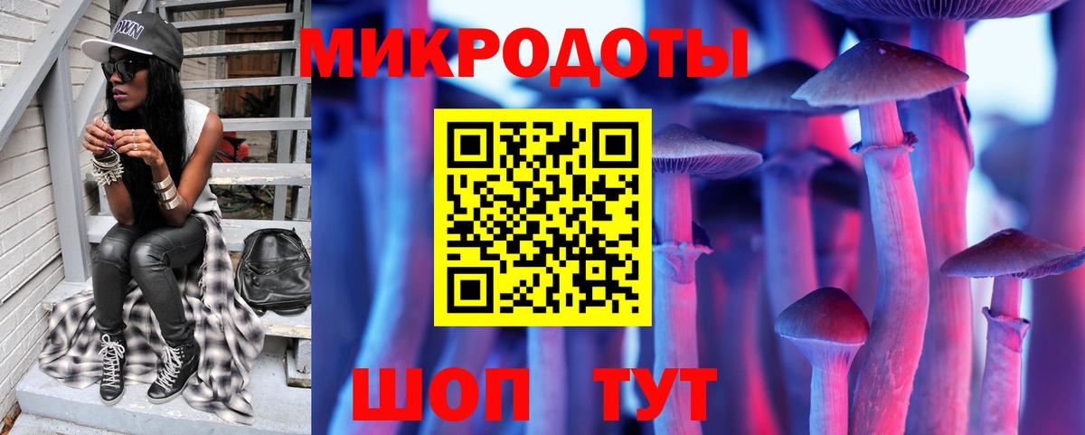 Галлюциногенные грибы GOLDEN TEACHER Каменка
